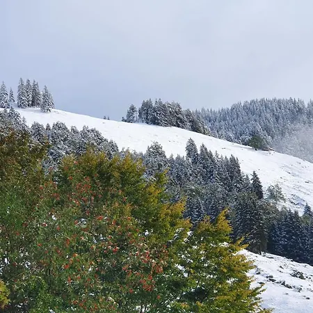 Sofia Апартаменты